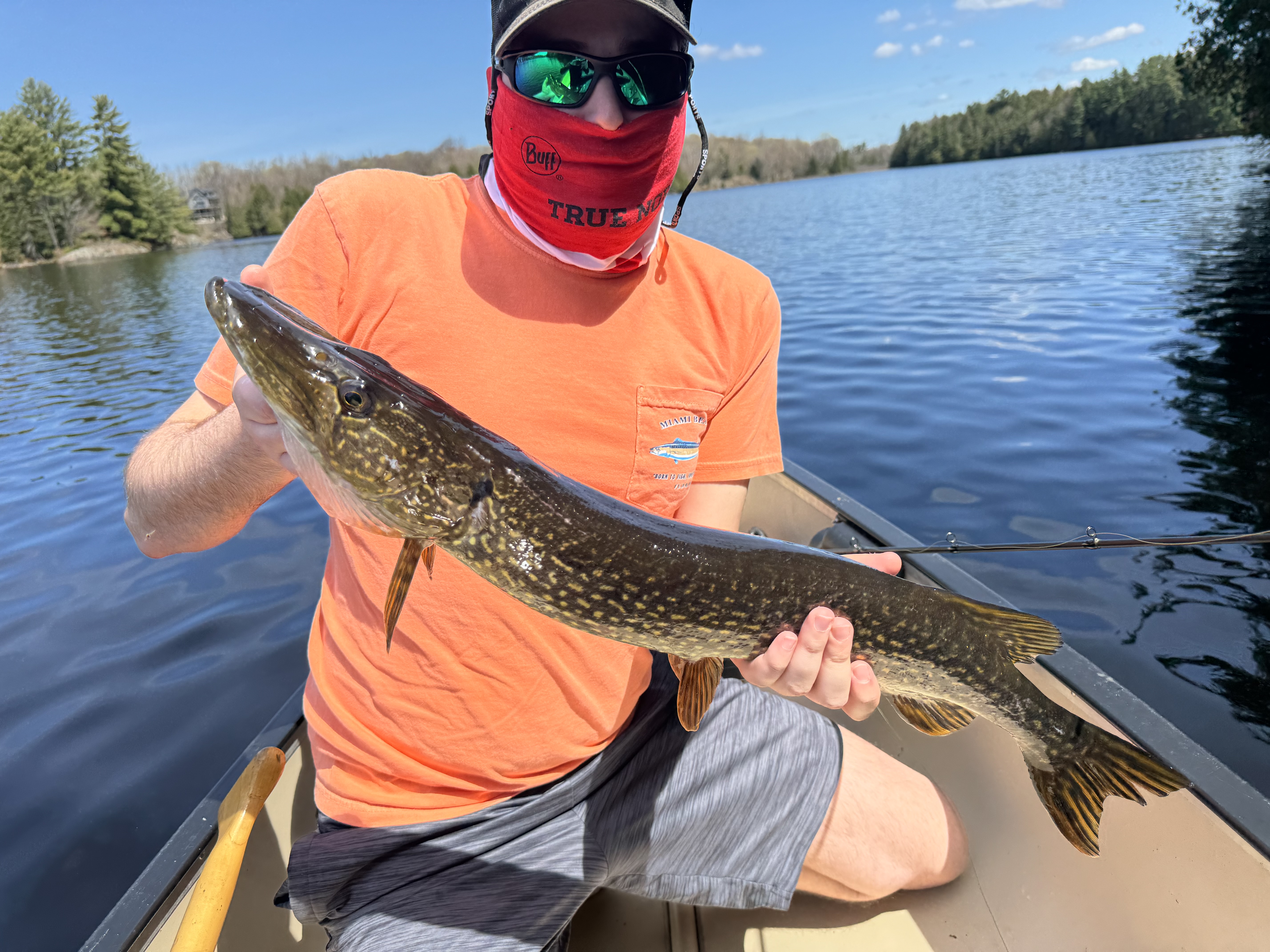 Profile Picture of Stephen Ditta